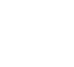 佐渡島産 コシヒカリ